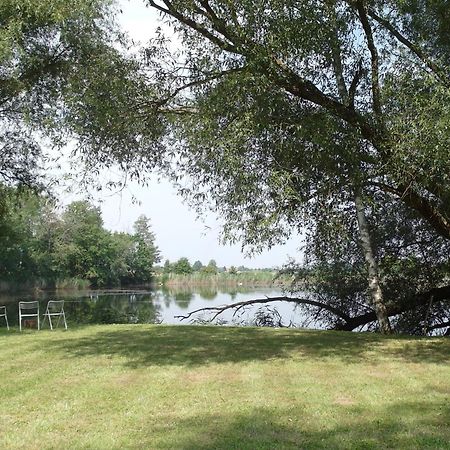 Ferienwohnungen Im Kunst.Haus Am See Doberlug-Kirchhain Eksteriør billede